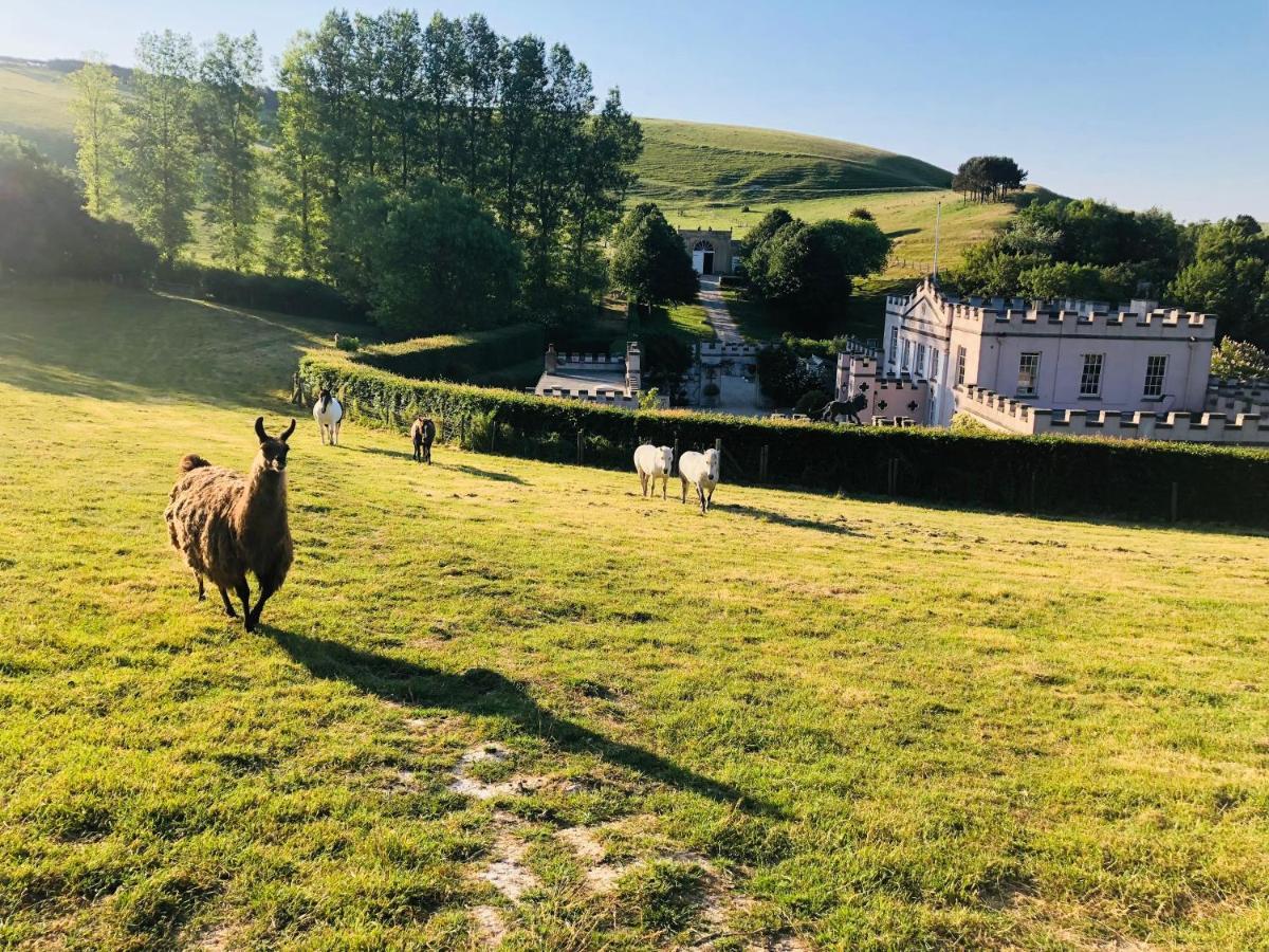 Lapin Cottage Long Bredy Esterno foto
